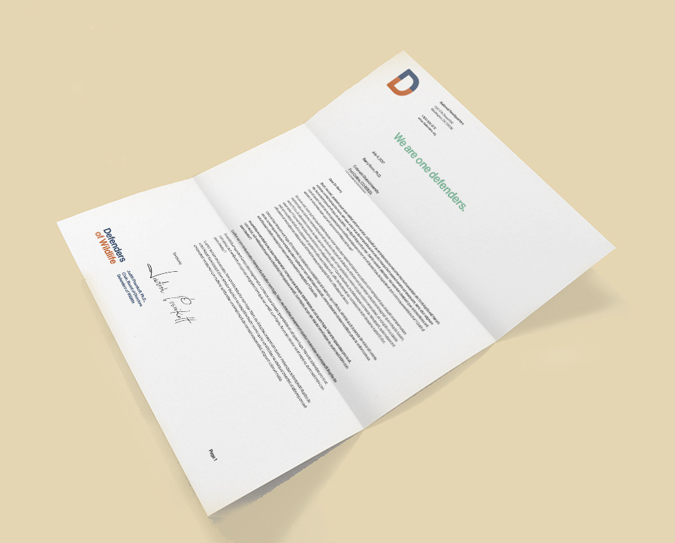 letterhead-new